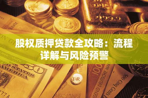 北京股权质押贷款全攻略：流程详解与风险预警