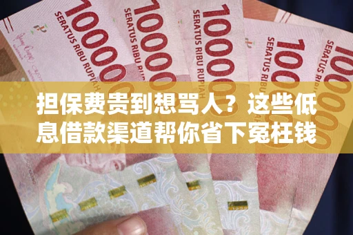 北京担保费贵到想骂人？这些低息借款渠道帮你省下冤枉钱