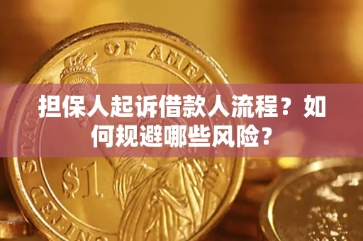 北京担保人起诉借款人流程？如何规避哪些风险？