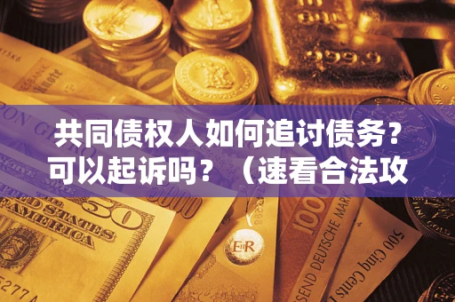 北京共同债权人如何追讨债务？可以起诉吗？（速看合法攻略）